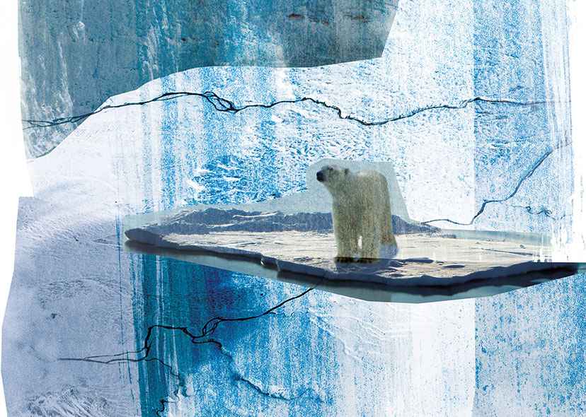 postnormal Times Exhibition – artwork for exhibition