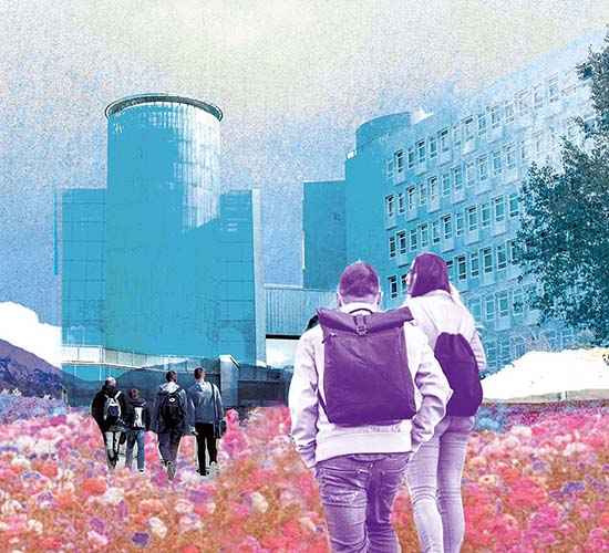 Suicide-safer universities in Scotland
