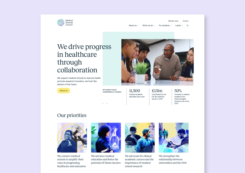 MSC - Illustration and mobile