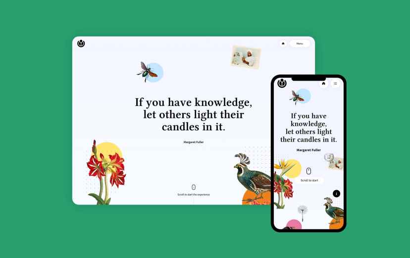 Wikimedia2023_Mobile and Desktop